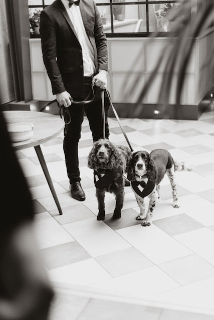 UK Dog Friendly Stay's