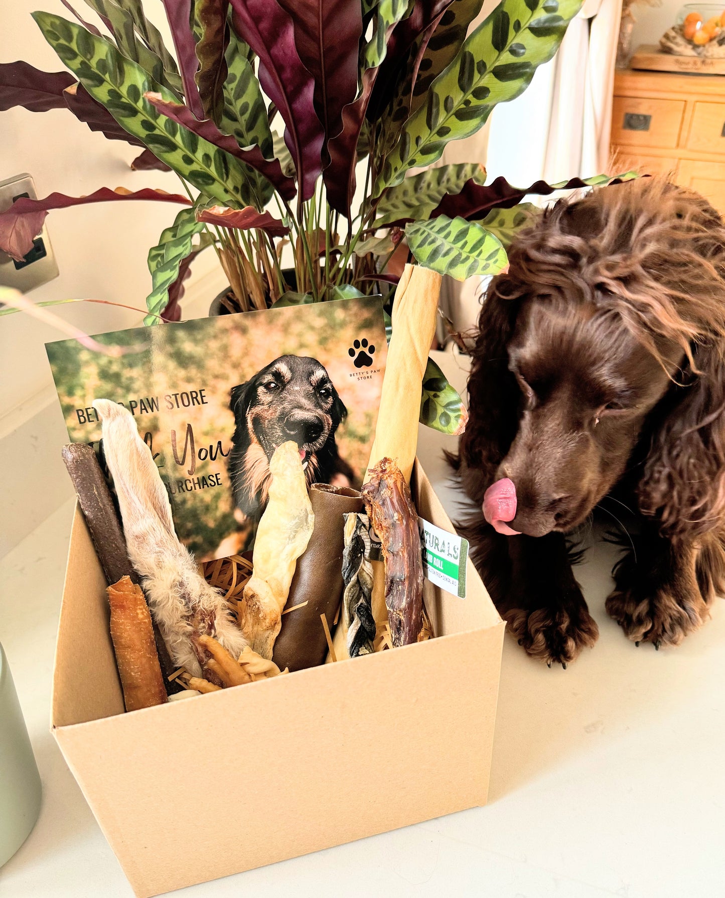 Quick Bite Subscription Box - Large