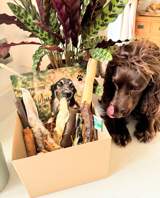 Quick Bite Subscription Box - Large