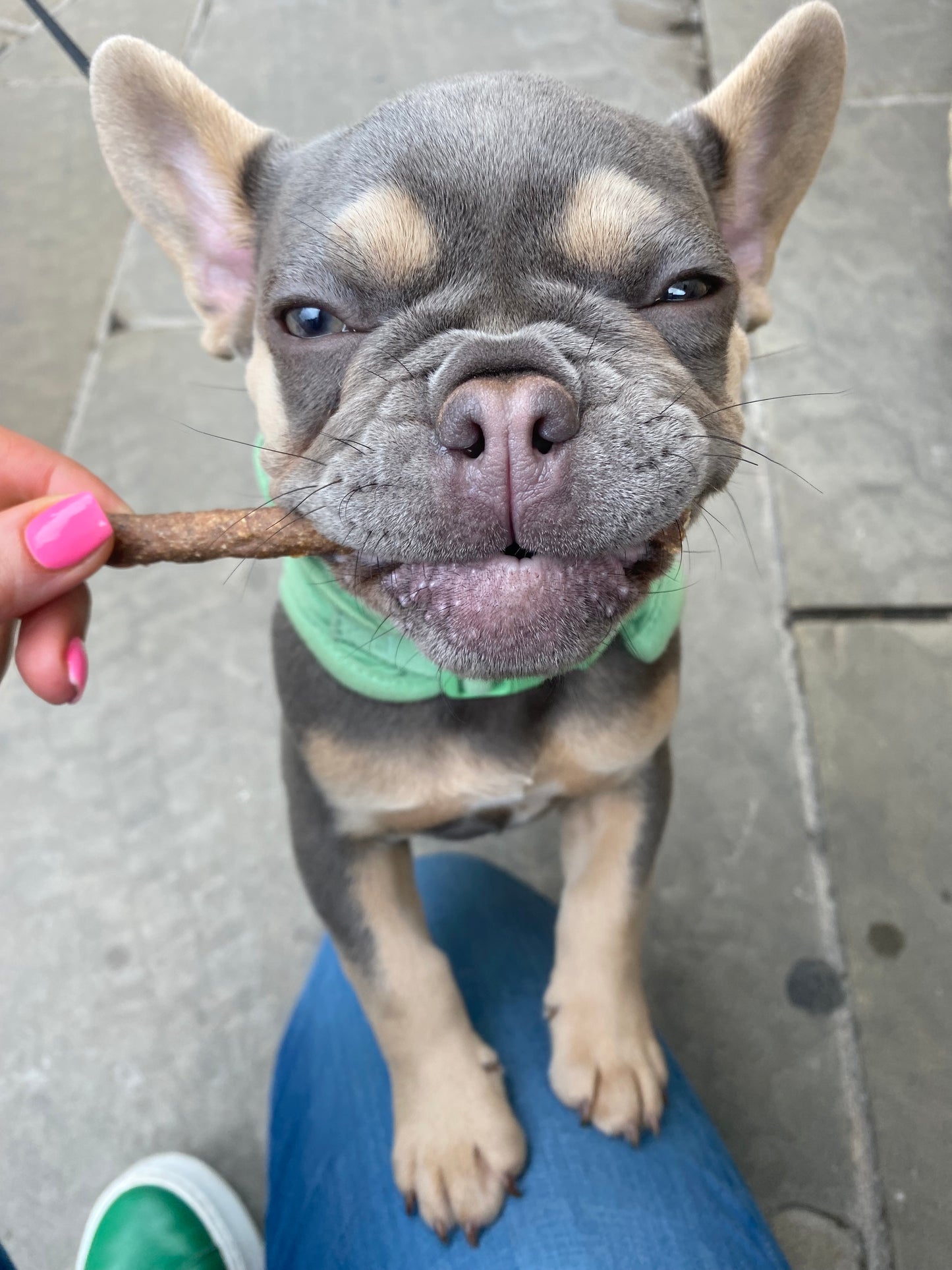 Sticks (5) - 100% Natural Meat Sticks