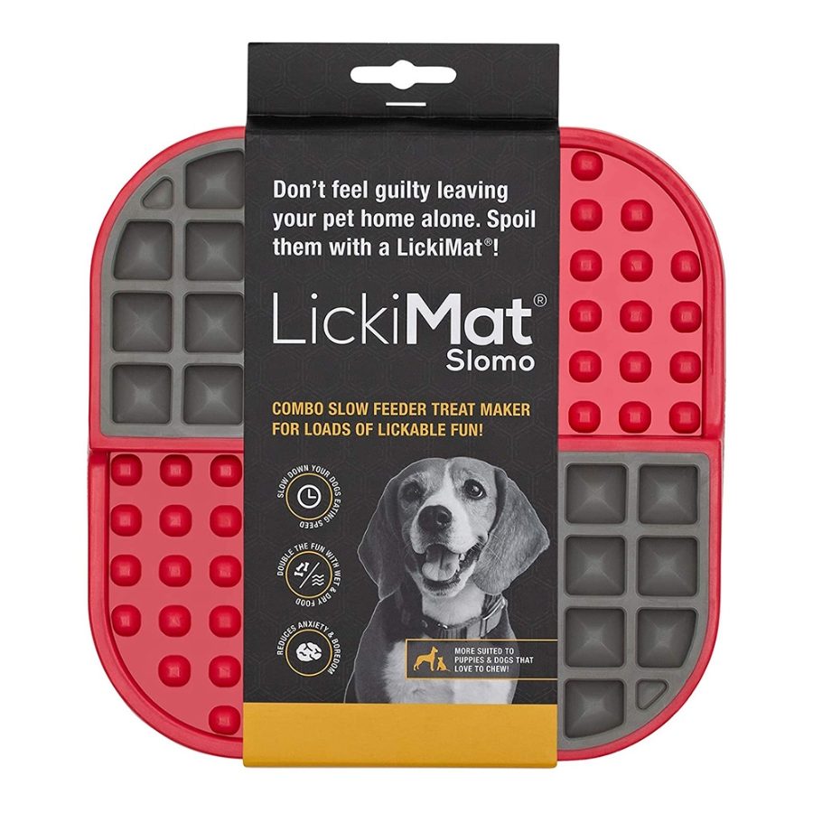 slow dog feeder