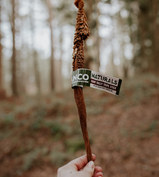 Giant Smoked Tripe Stick