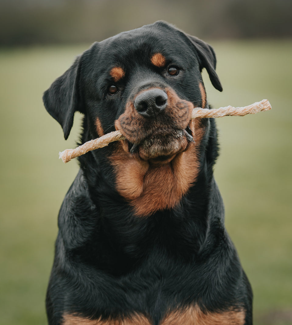 Bully Twists