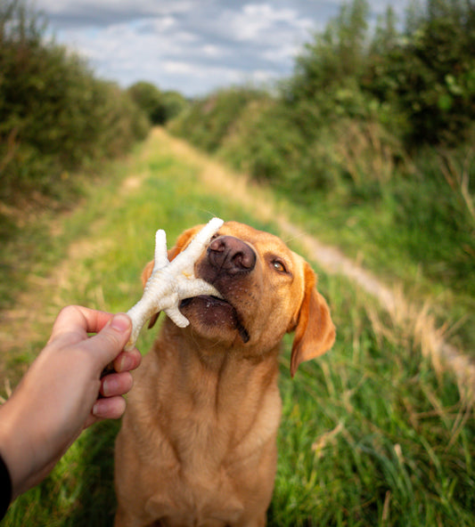 Chicken Feet - Puffed