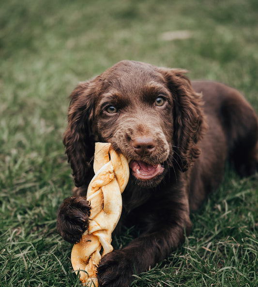 Beef Braid - Medium
