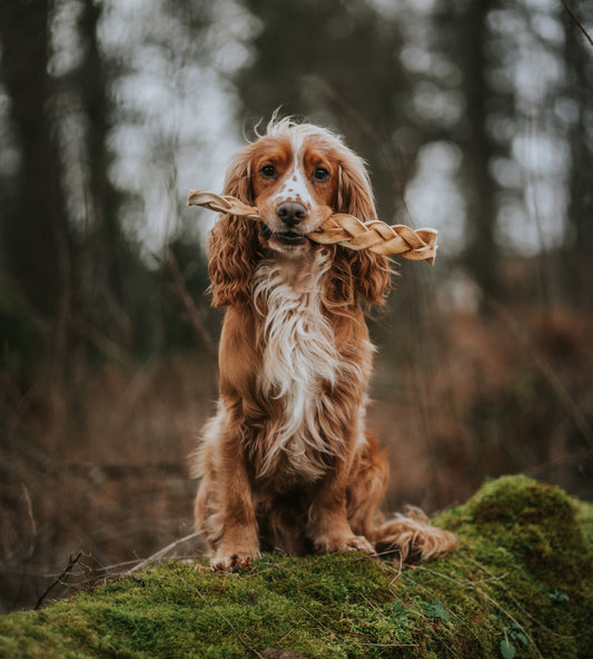 Buffalo Braid - Large