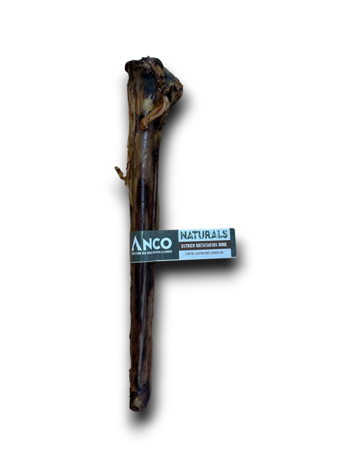 Ostrich Metatarus Bone