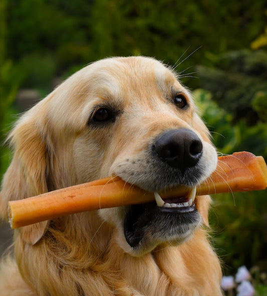 Pork Rind Roll - 20cm
