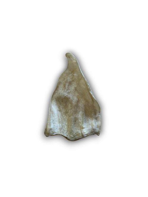 Cow Ear - Standard