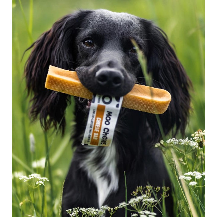 Yak - Moo Chew 100% Natural Dog Chew - Medium
