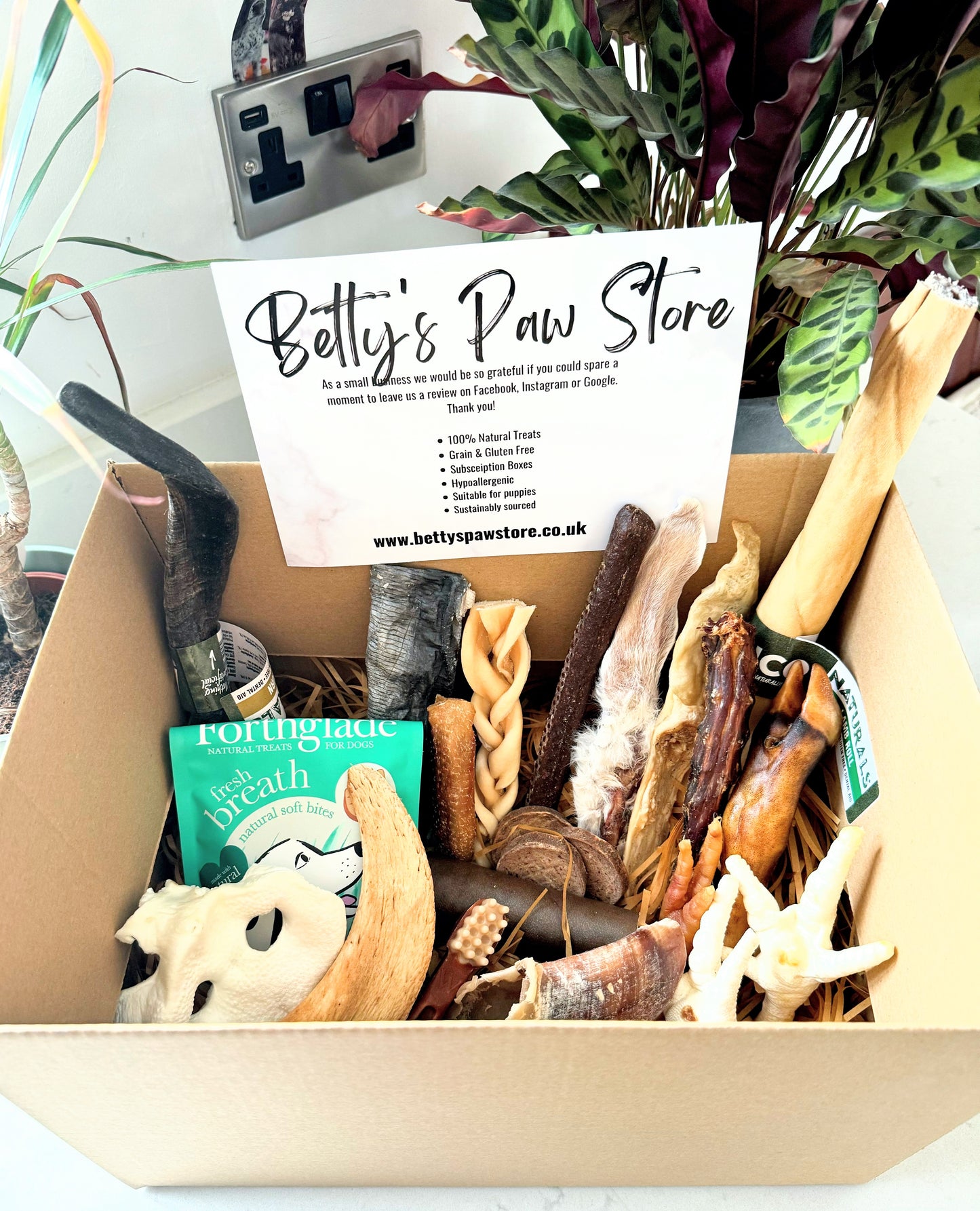 Subscription Box - Large