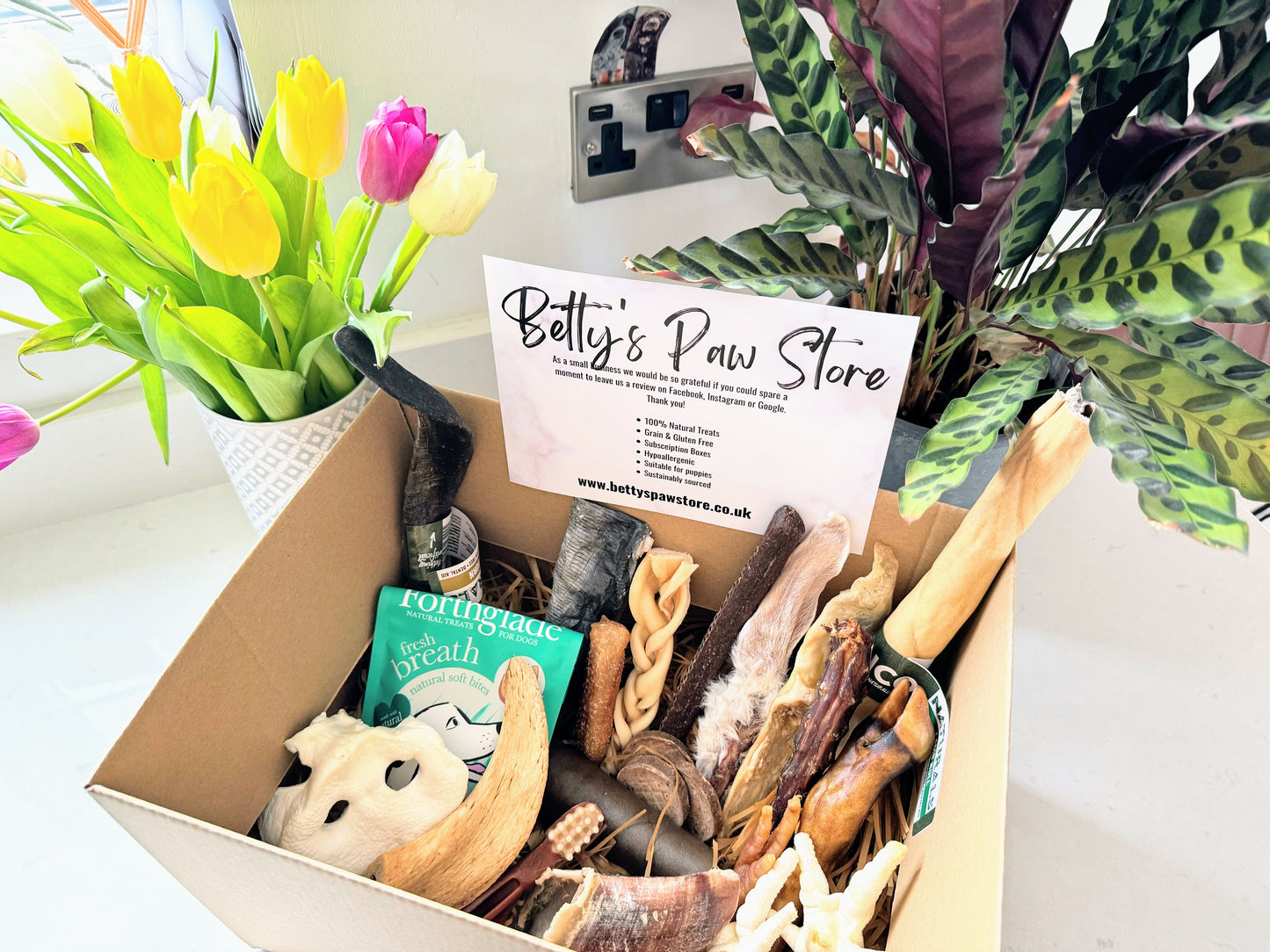Subscription Box - Large