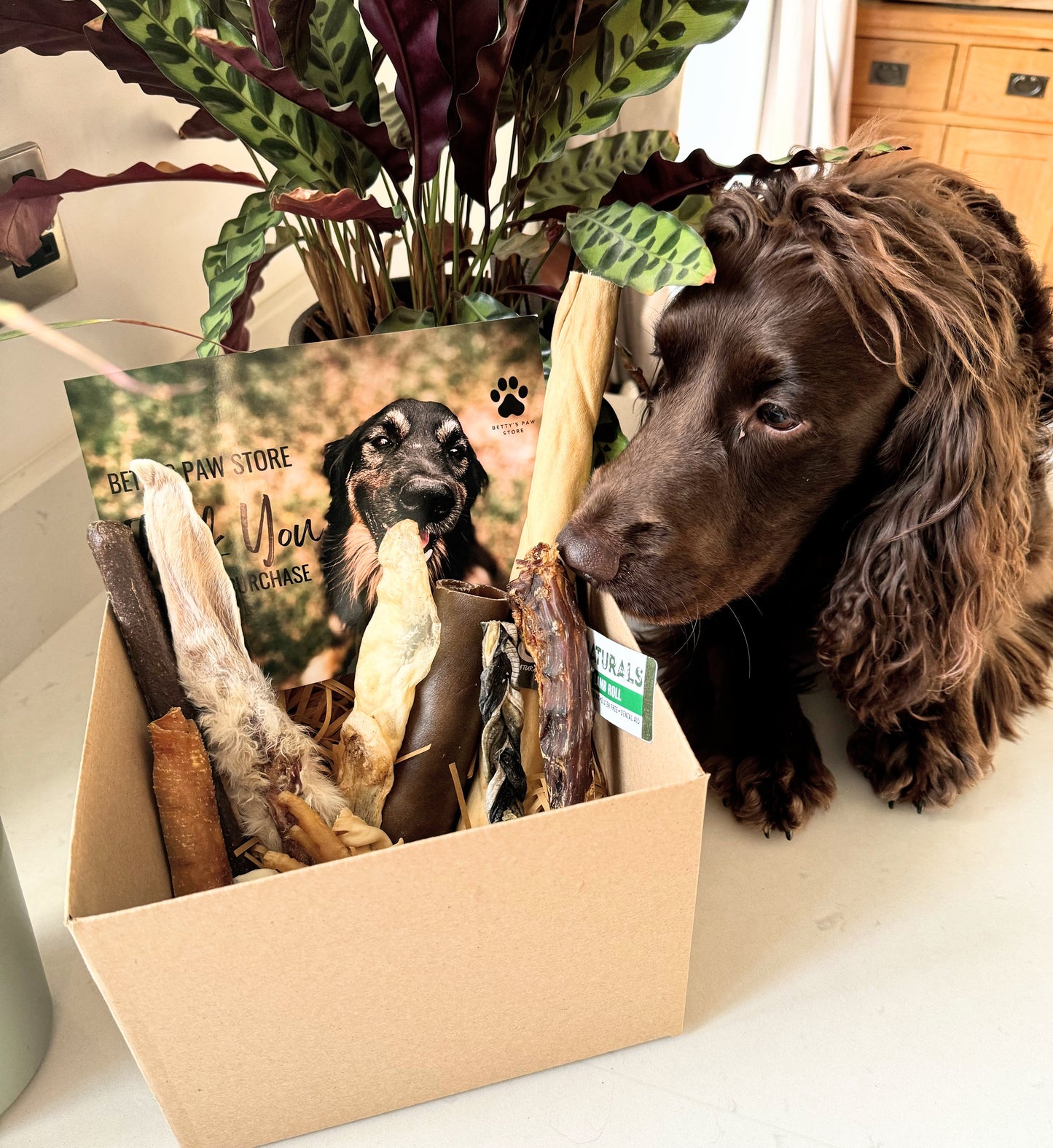 Subscription Box - Small