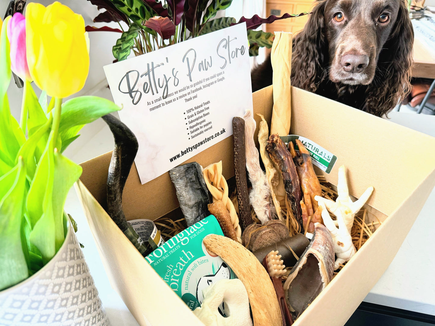 Subscription Box - Large