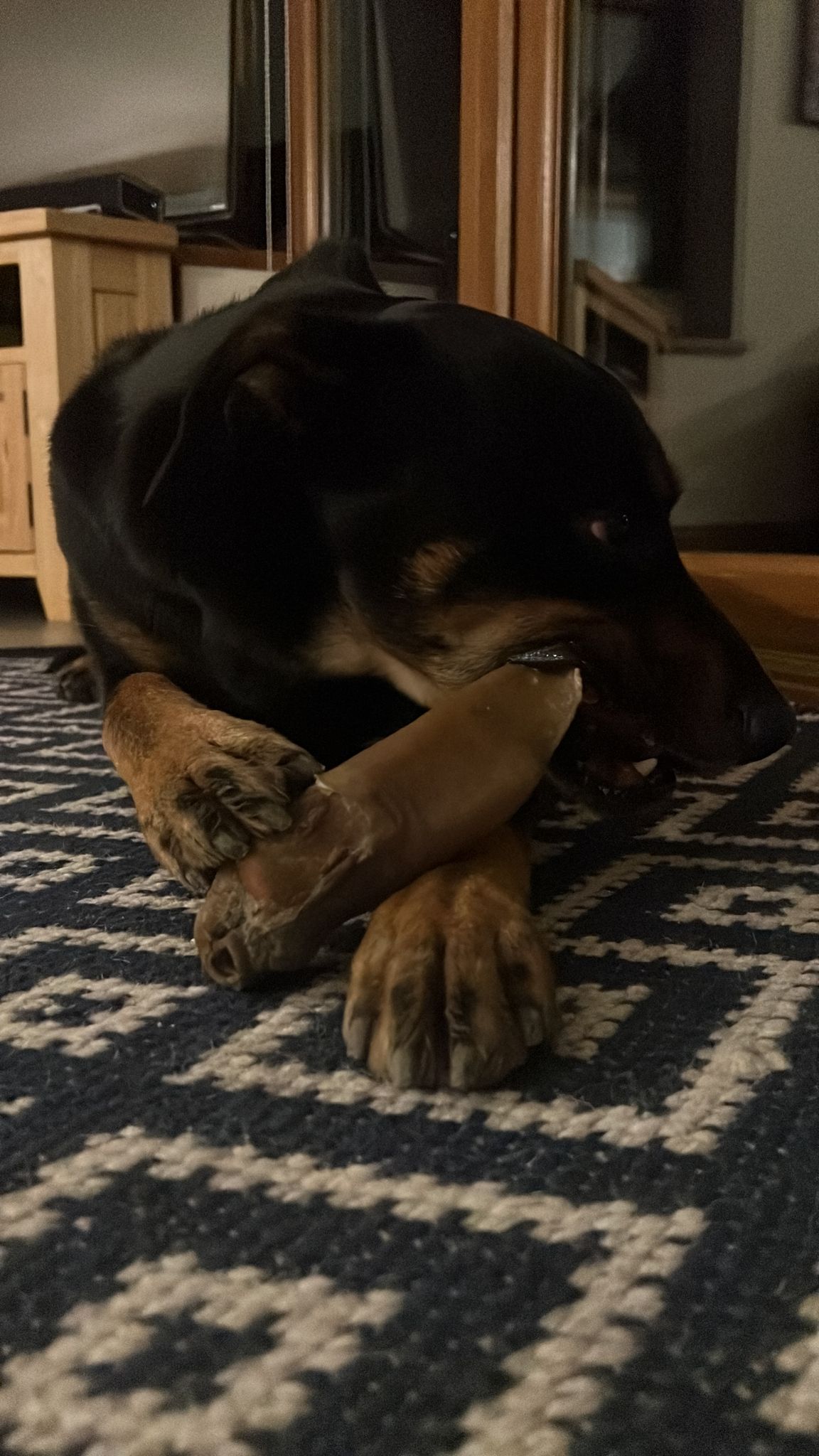Cow Ear - Large