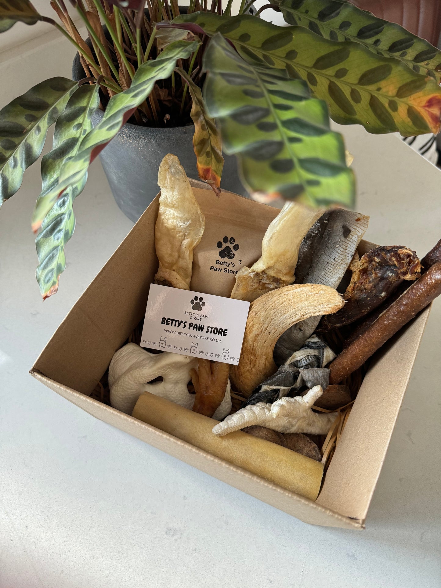 Quick Bite Subscription Box - Small