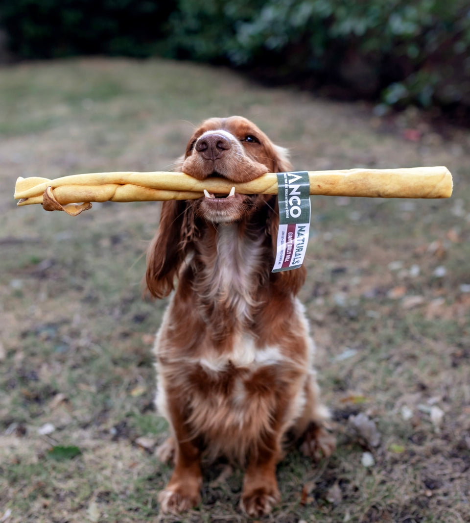 giant dog chew
