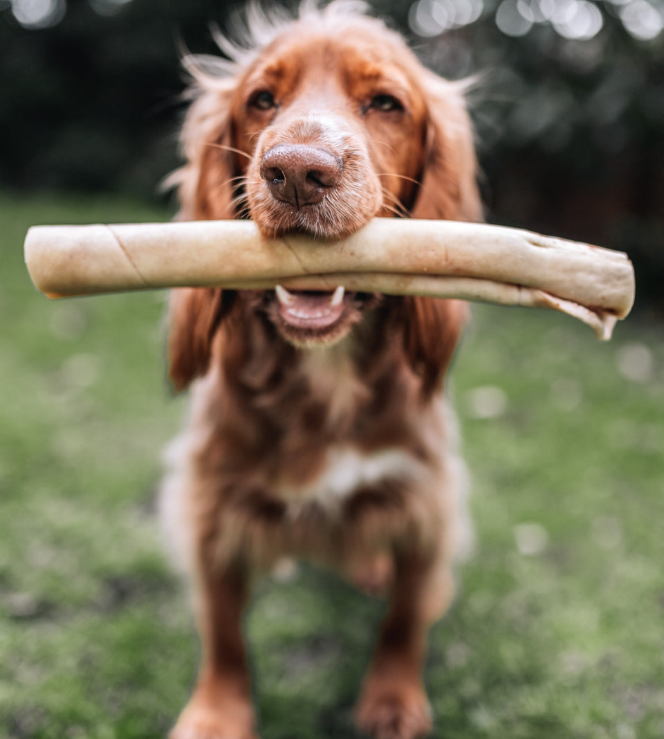 bully roll, natural dog treats, dog treats, dog chew