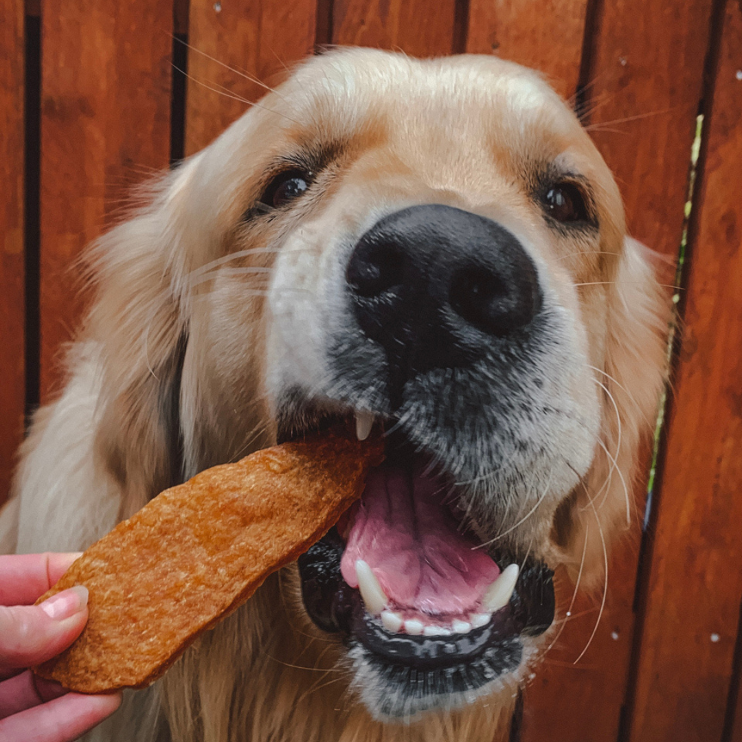 Chicken Jerky 100g