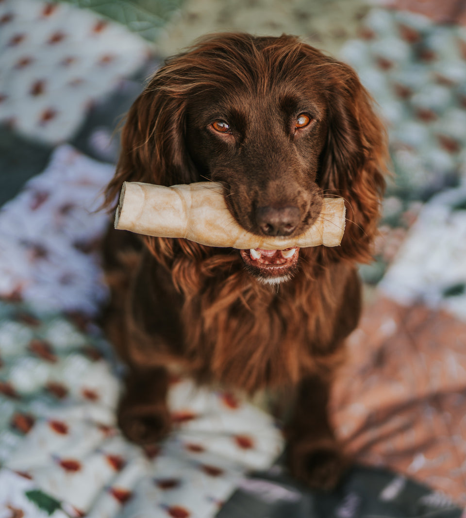 lamb roll for dogs
