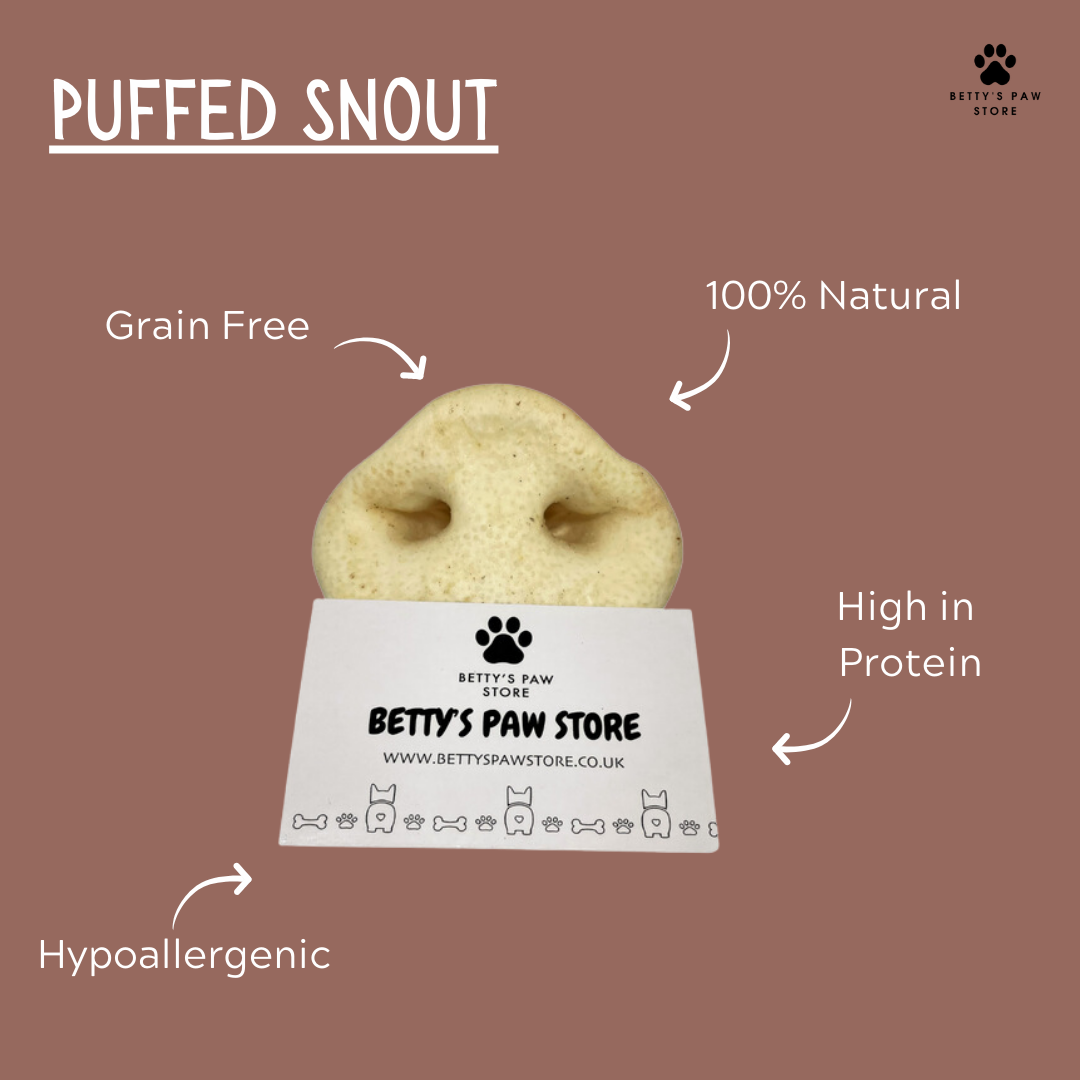 Puffed Pig Snout