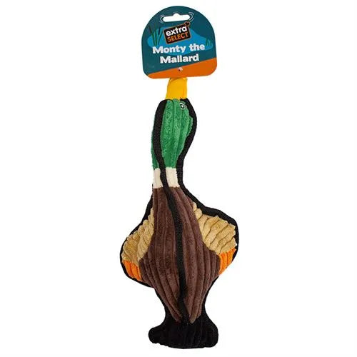 duck dog toy