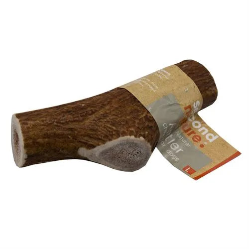 Antler Chew - Long Lasting