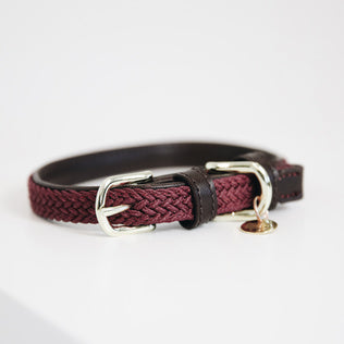 kentucky dog collar