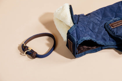 Kentucky Nylon Dog Collar