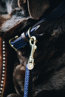 Kentucky Nylon Dog Lead