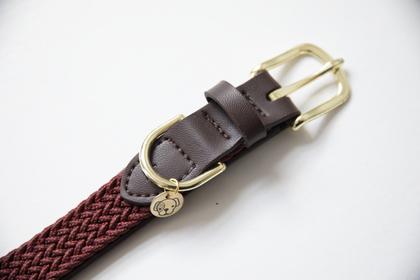 woven dog collar