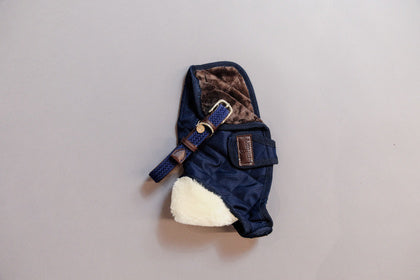 kentucky dog coat