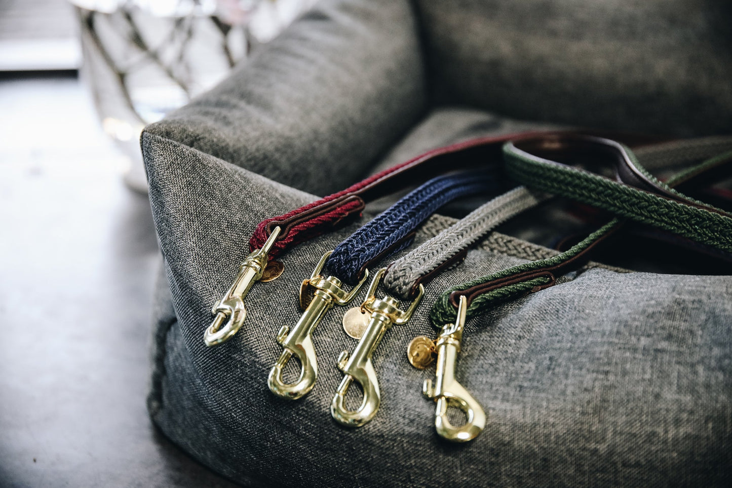 Kentucky Nylon Dog Lead