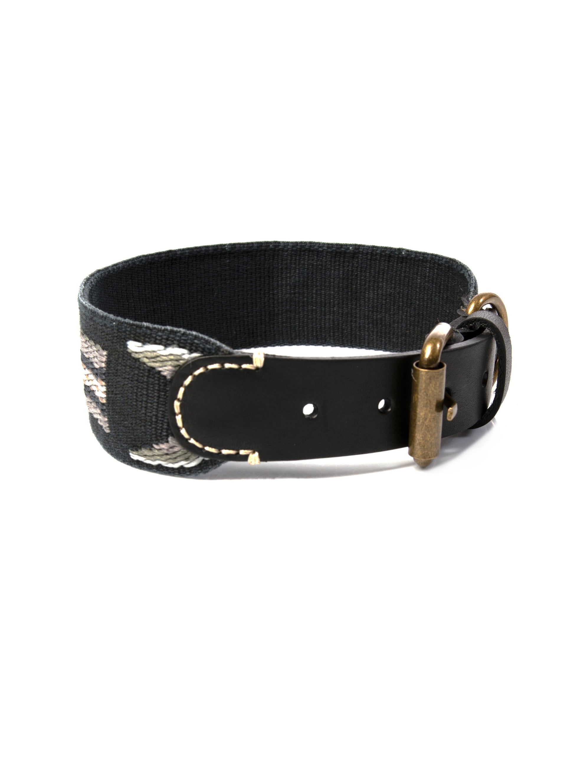 buddy dogwear collar
