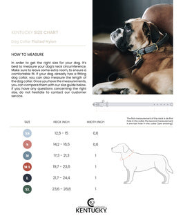 Kentucky Nylon Dog Collar