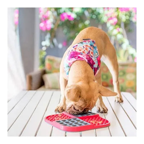 Enrichment and Lick Mats for your dog.