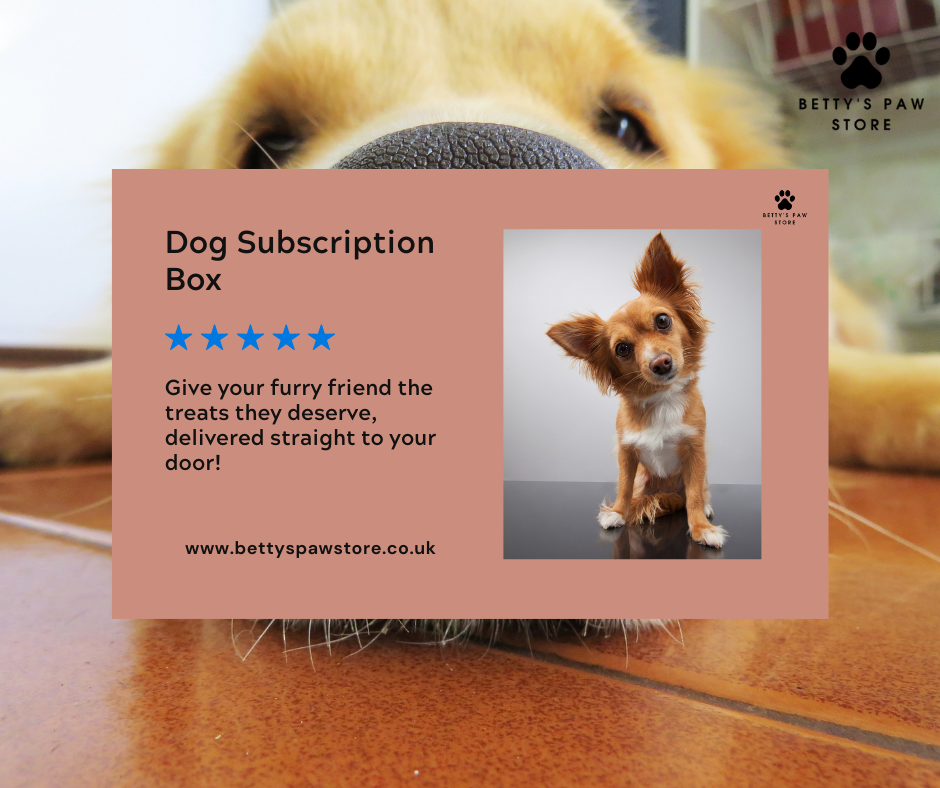 Unboxing Joy with Dog Subscription Boxes