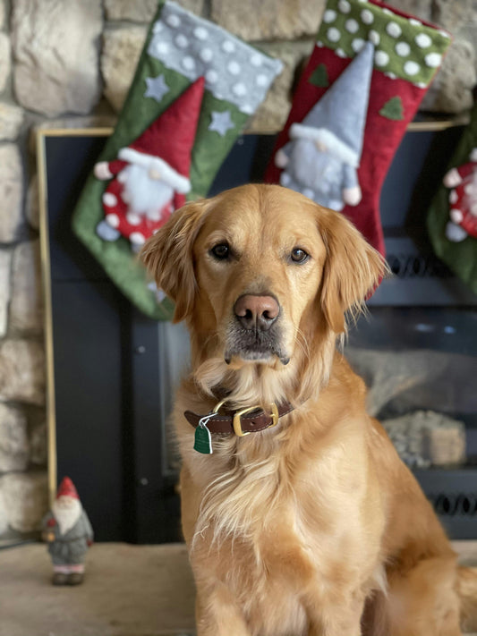 🎄 Merry Christmas from Betty’s Paw Store!