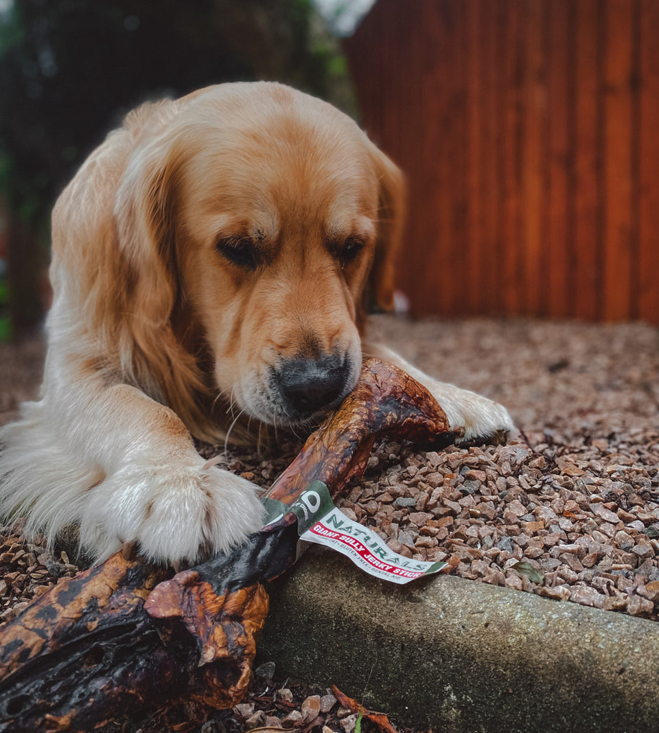 Giant Beef Jerky Stick