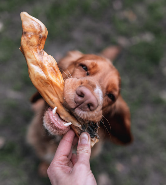 Lambs Feet - Individual