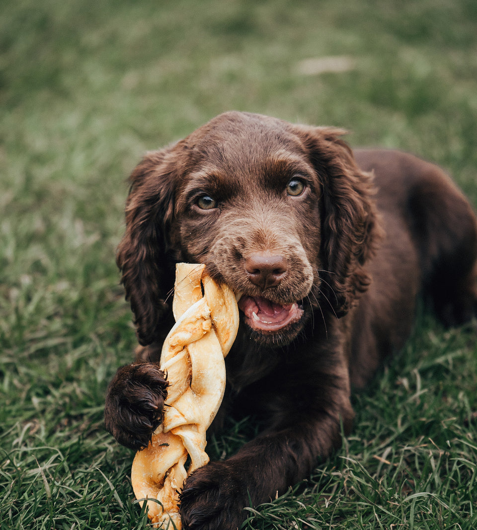 Beef Braid - Medium