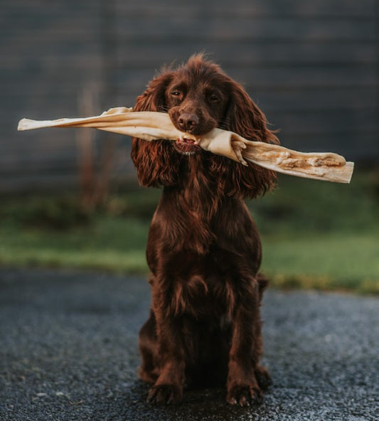 Giant Beef Stick