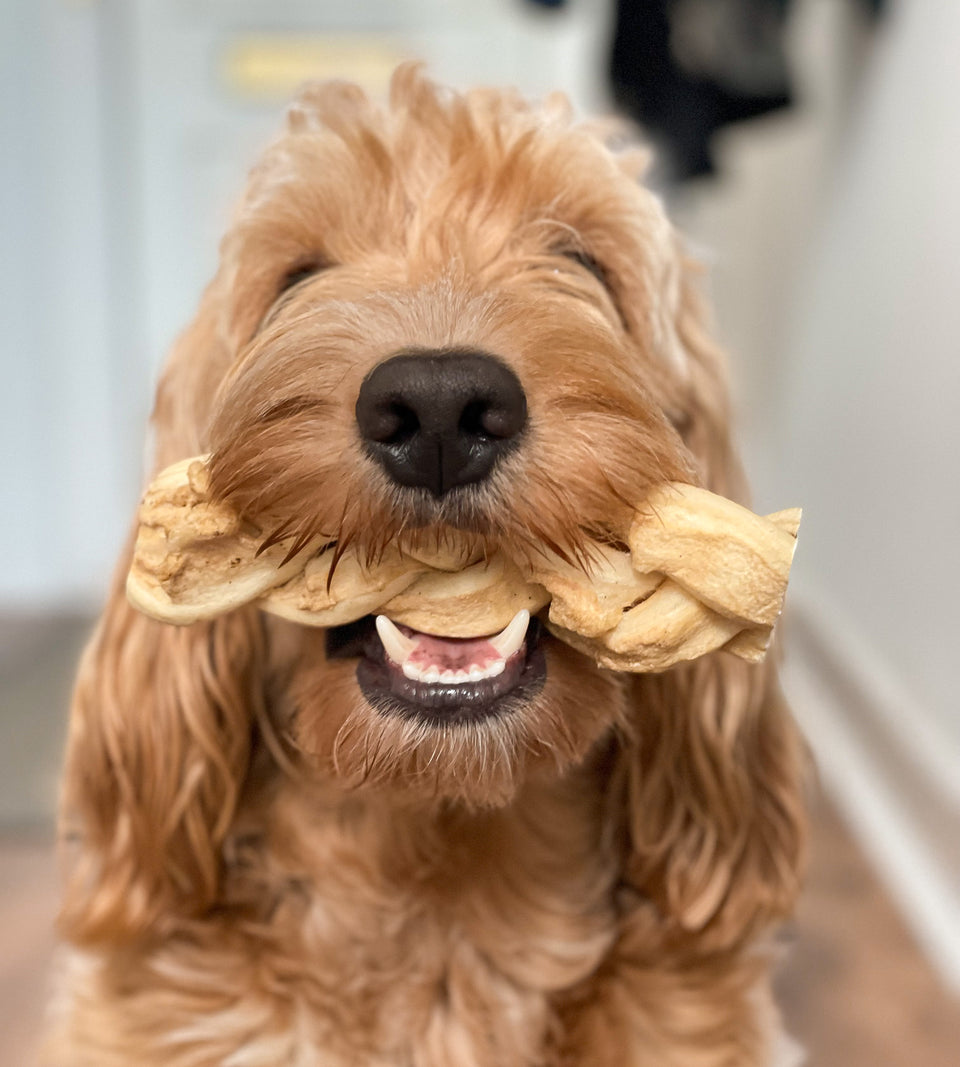 Buffalo Braid - Medium