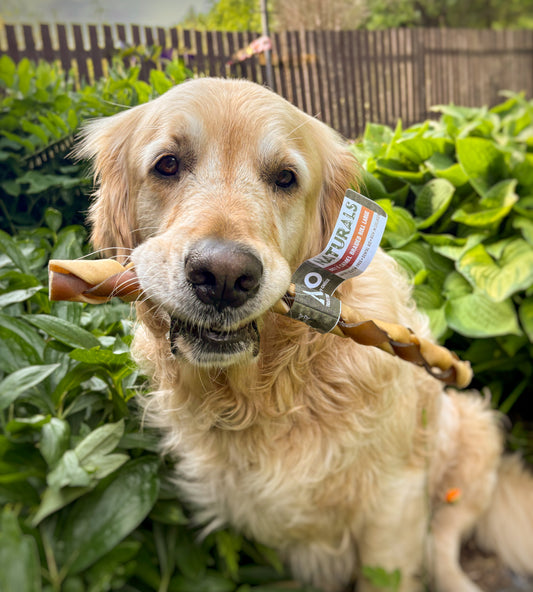 Beef & Camel Braided Roll - Large