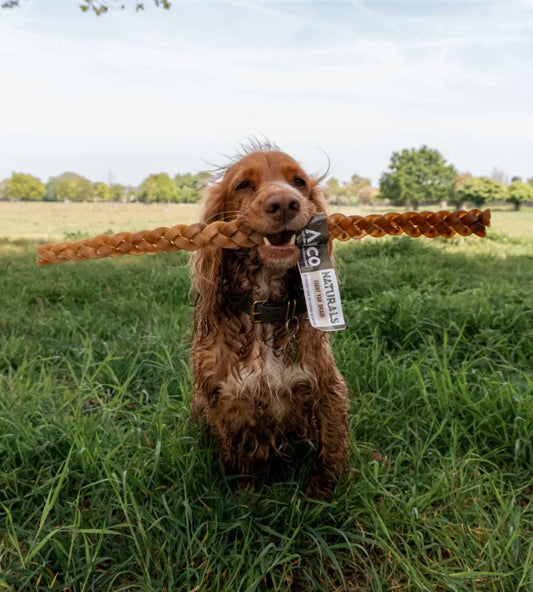 Yak Braid - Giant - Long Lasting Chew - 100% Natural