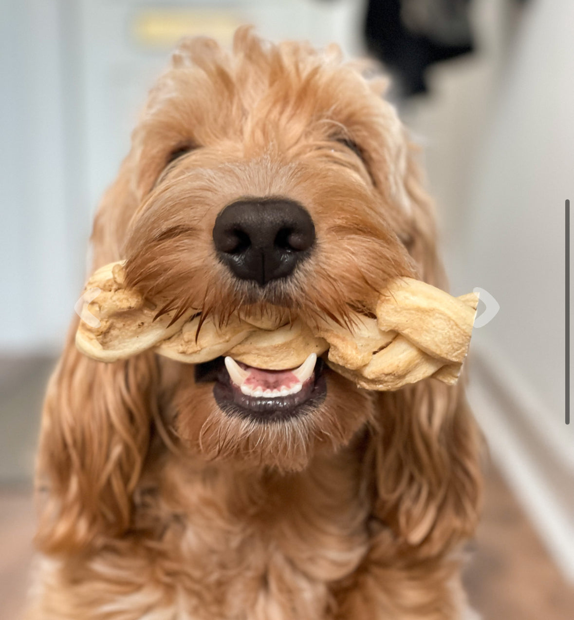 Buffalo Braid - Medium