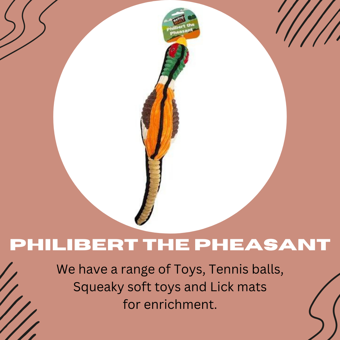 Philbert The Pheasant - Extra Select