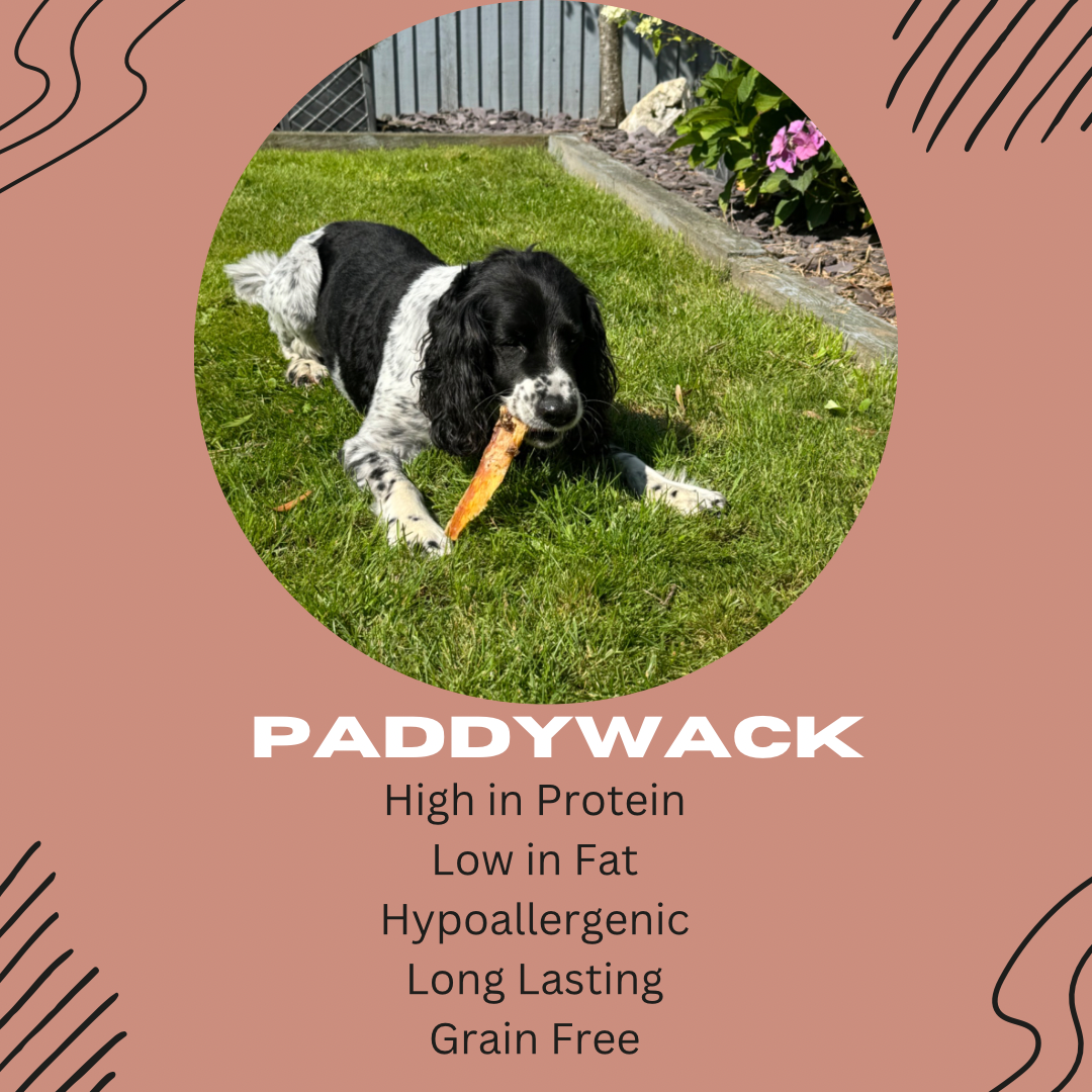 Paddy Wack - Standard