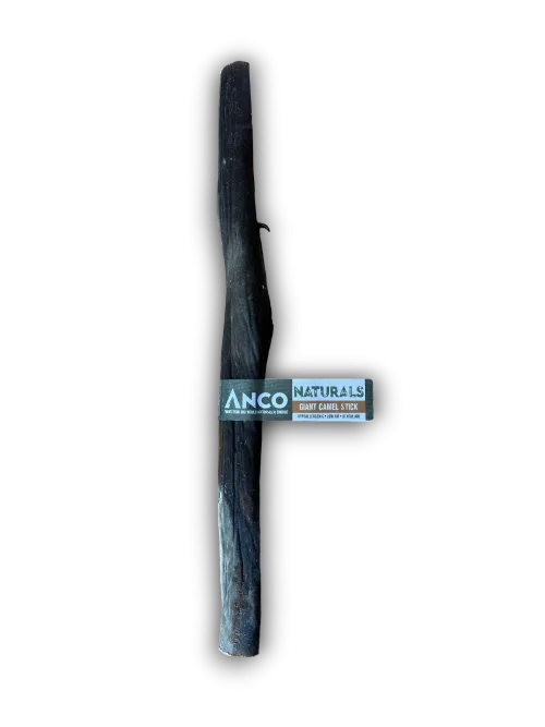 Giant Camel Stick
