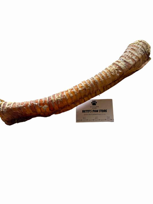 Beef Trachea - Large - Hypoallergenic